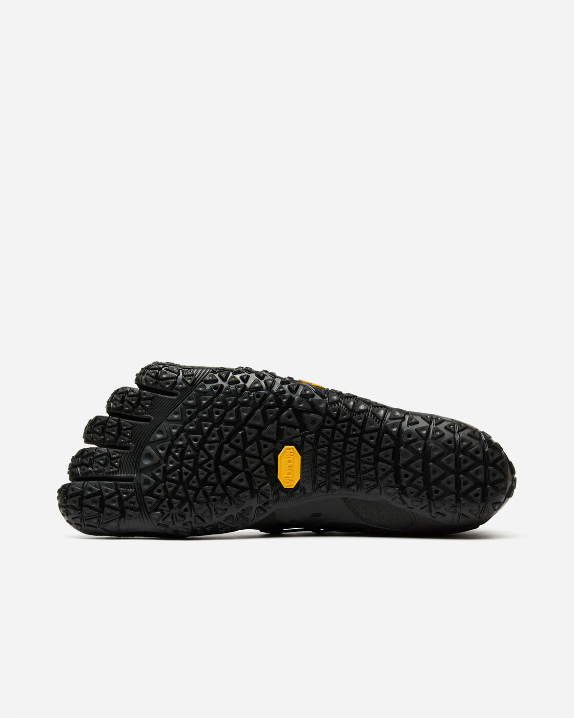 Spidrwalk Homme